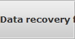 Data recovery for Rockville data