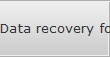 Data recovery for Rockville data